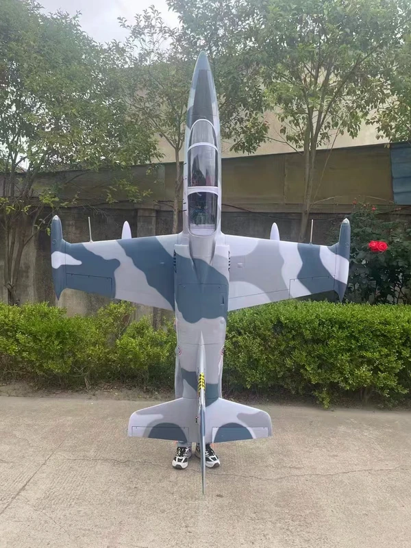 Aero L-39 — 2.6 m photo 11
